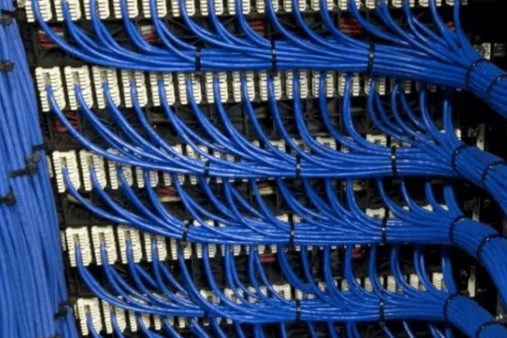 Structured Cabling Close-up of neatly organized blue network cables connected to a server rack.