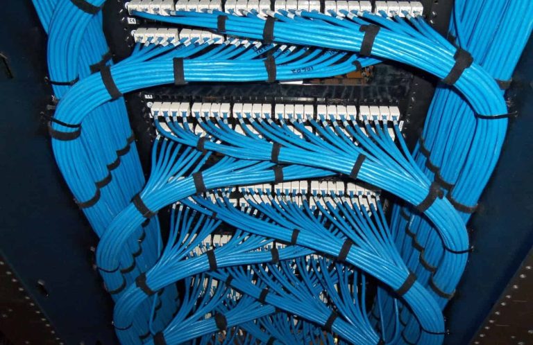 Professional Cable Installation Services Blue network cables neatly arranged and organized in a data center.