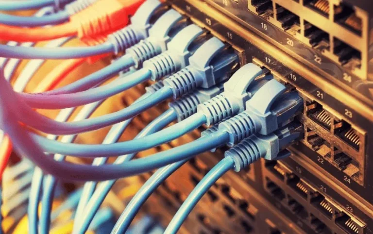 Close-up of network cables connected to a switch, featuring red and blue connectors.